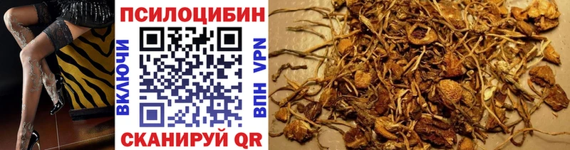 закладка  Армянск  Галлюциногенные грибы Cubensis 